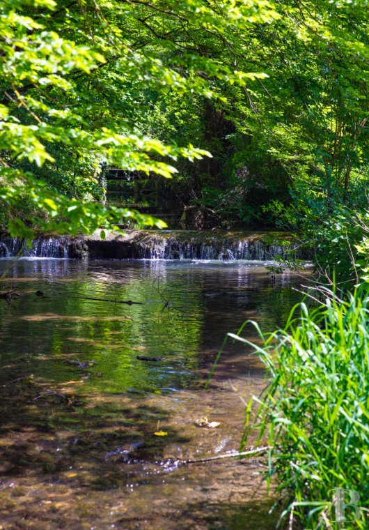 A completely renovated former mill halfway between Mantes-la-Jolie and Dreux in the Eure-et-Loire department - photo  n°4